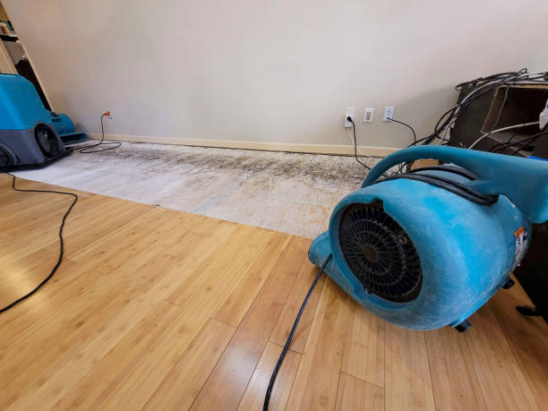 Professional Ceiling Water Damage Repair technician working in South Portland, ME